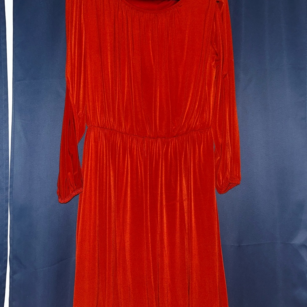 Ellen Tracy Dress